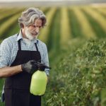 Eco-Friendly Pest Prevention